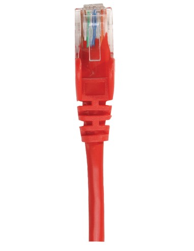 Intellinet 0.25m Cat6a Sftp Cable De Red 0,25 M...