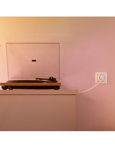 Wiz Enchufe Inteligente