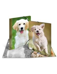 Wantecwire Sstp, Cable De Red Cat7 Delgado Y Redondo,...