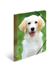 Wantecwire Sstp, Cable De Red Cat7 Delgado Y Redondo,... 2