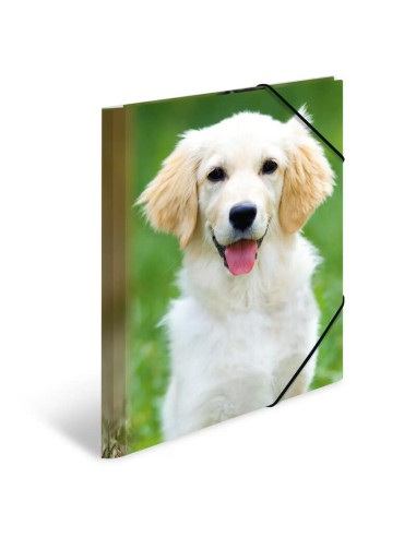 Wantecwire Sstp, Cable De Red Cat7 Delgado Y...