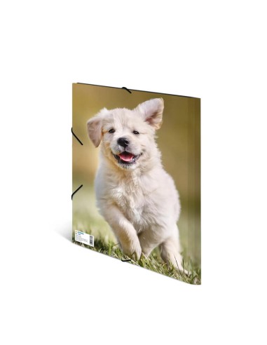 Wantecwire Sstp, Cable De Red Cat7 Delgado Y...