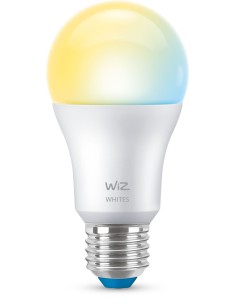 Wiz Bomb Amb 60w E27 27k65k Bt Wifi