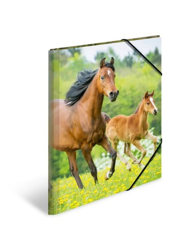 Wantecwire Sstp, Cable De Red Cat7 Delgado Y...