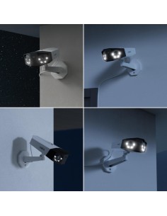 Reolink Duo Series P730 Blanco/negro 2