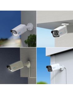 Cámara Reolink P430 2