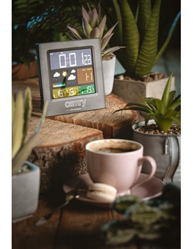 Estación Meteorológica Camry Cr 1166