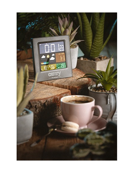 Estación Meteorológica Camry Cr 1166