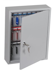 Phoenix Kc0601k, Gris, 42 Colgador(es), Llave, 270 X 80 X...