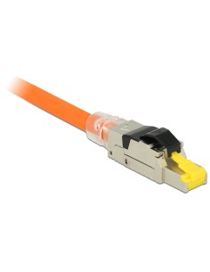 Delock Montaje De Enchufe Rj45 Cat.6a En Metal 2