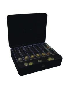 Caja Caudales 12300x240x90 Ne P