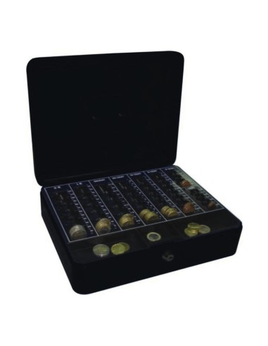 Caja Caudales 12300x240x90 Ne P