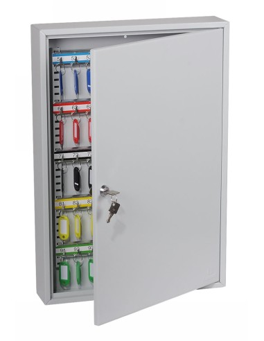 Phoenix Kc0603k, Gris, 100 Colgador(es), Llave,...