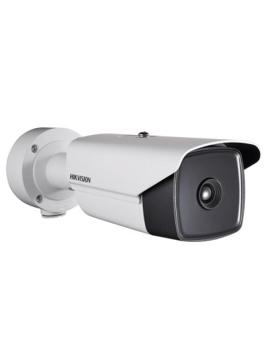 Cámara Hikvision Ds-2td2166t-15 De Vigilancia...